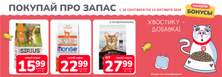 Акция месяца!