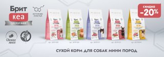 Брит Кеа!
