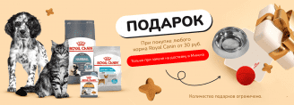 Подарки от Royal Canin и Zoobazar!