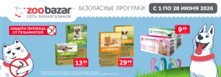 Безопасные прогулки!