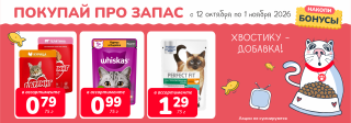 Акция месяца!