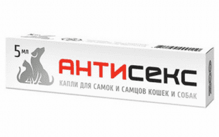 Капли Антисекс для кошек и собак, 3 мл