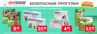 Безопасные прогулки!