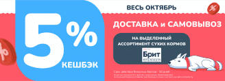 5% кешбэк на сухой Брит ПРЕМИУМ 6-31 октября 2025!