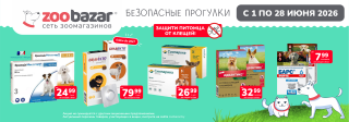 Безопасные прогулки!