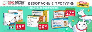 Безопасные прогулки!