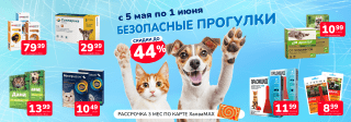 Безопасные прогулки 5 мая - 1 июня 2025