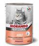 Консерва Morando gatto для кошек, кусочки в соусе с креветками и лососем, 405 г