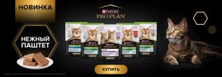 Purina Pro Plan - новинка паштеты!