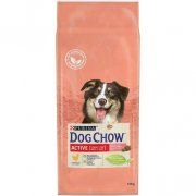 Корм Dog Chow Active сухой полнорационный для взрослых активных собак, с курицей, 14 кг