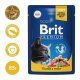 Пауч Brit Premium для кошек, с лососем и форелью, 85 г