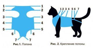Послеоперационная попона для кошек