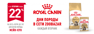 День Мейн-Куна в Zoobazar!