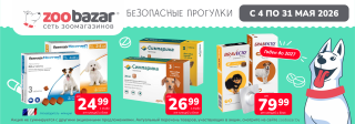 Безопасные прогулки!