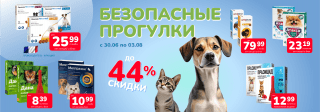 Безопасные прогулки 30.06-03.08.2025