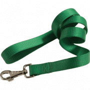 Поводок Camon для собак, нейлоновый, зелёный, 12 мм/1 м