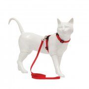 Комплект Пижон, для кошек, красный, шлея 18-30 см, поводок 120 см