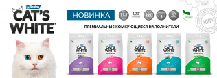 НОВИНКА в ZOOBAZAR: наполнитель CAT’S WHITE!