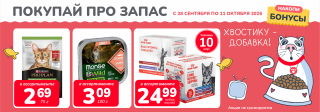 Акция месяца!