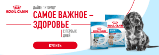 Роял канин щенки