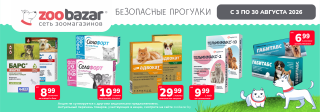 Безопасные прогулки!