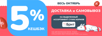 5% кешбэк на сухой Брит ПРЕМИУМ 6-31 октября 2025!