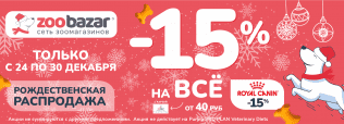 Рождественская распродажа с 24 по 30 декабря 2025!