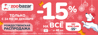 Рождественская распродажа с 24 по 30 декабря 2025!