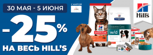 Неделя Hills в Zoobazar 30 мая - 05 июня