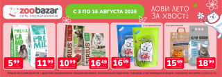 Акция месяца!