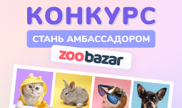 Zoobazar в поиске амбассадоров добра!