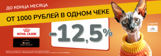 Акция для ИП