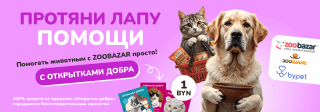 Протяни лапу помощи