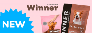 Новинки от Winner!