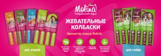 Лакомства Молина!