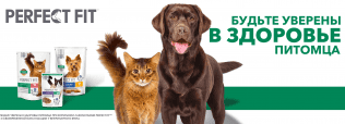 Perfect Fit - уверенность в здоровье вашего питомца!