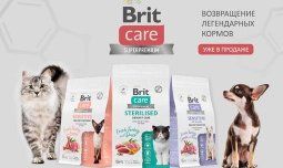 Корма Brit Care уже в продаже! 