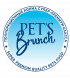 Pet's Brunch
