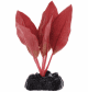 Растение для аквариума Barbus Криптокорина красная, шелковое, 10 см