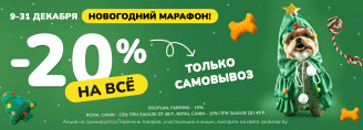 Новогодний марафон - 9-31 декабря 2024!