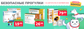 Безопасные прогулки!