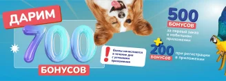 Получите 700 бонусов в приложении!