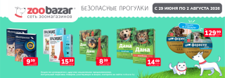 Безопасные прогулки!