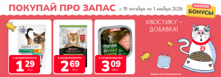 Акция месяца!