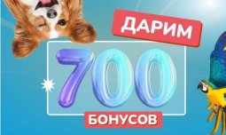 Получите 700 бонусов в приложении!