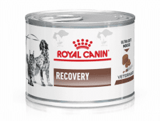 Консервы Royal Canin RECOVERY послеоперационная диета для кошек и собак, 195 г
