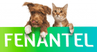 Фенантел