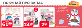 Акция месяца!