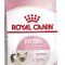 Корм Royal Canin Kitten для котят в период второй фазы роста в возрасте до 12 месяцев 300 г