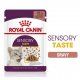 Пауч Royal Canin для взрослых кошек, кусочки в соусе, Sensory Taste, 85 г